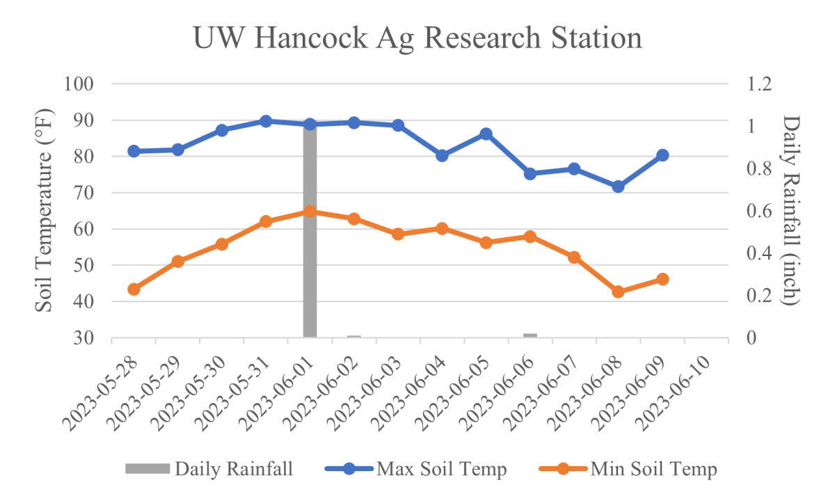 Update 4 June 11, 2023 UW Vegetable Pathology UWMadison