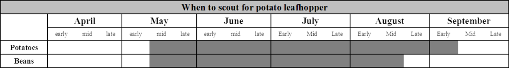 leafhopper scouting schedule