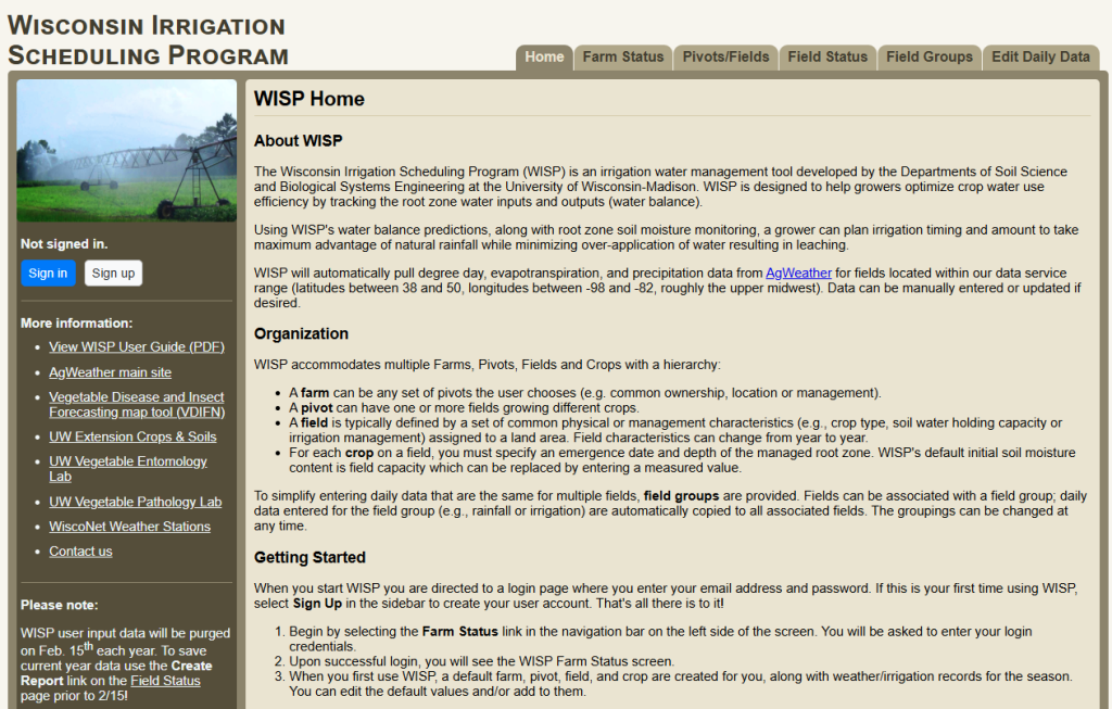 screenshot of wisp