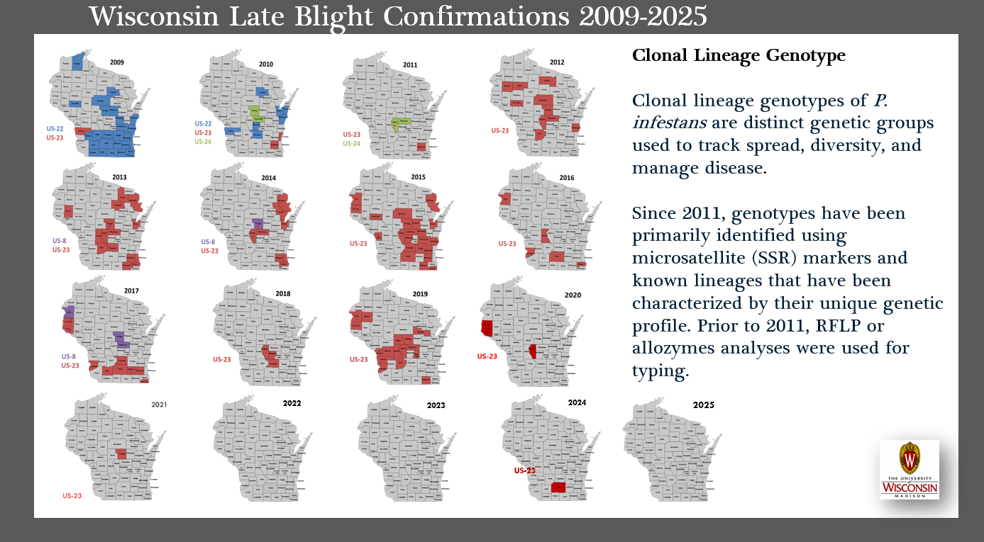series of maps showing late blight detections across the US