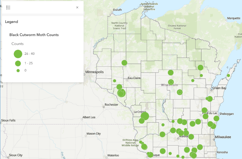 cutworm capture map