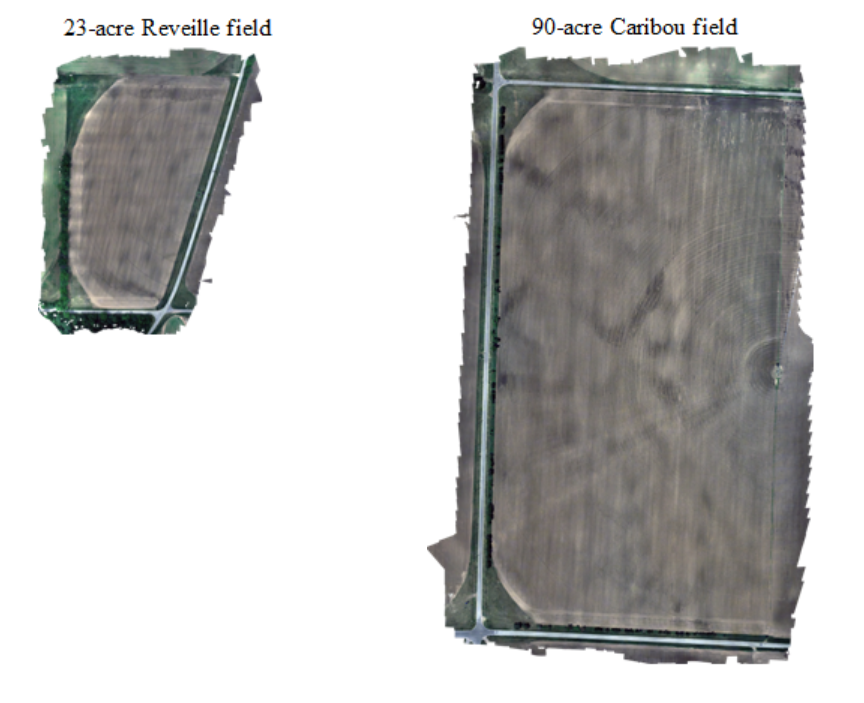 aerial imagery of two potato fields