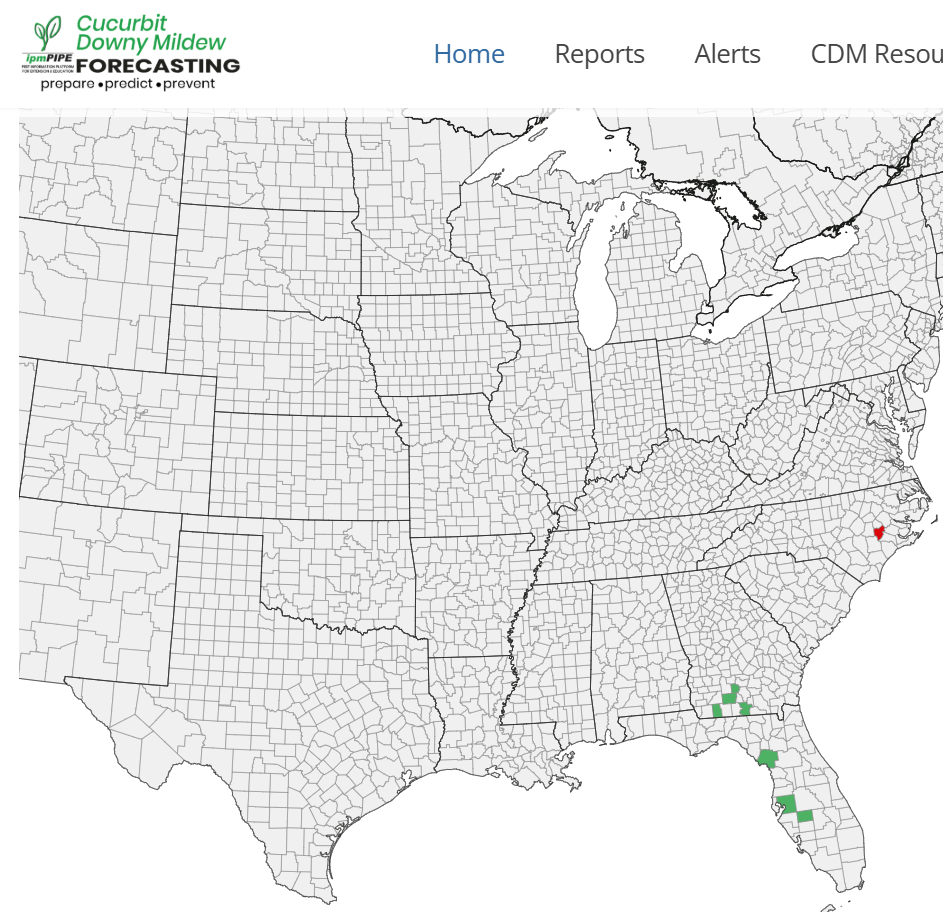 Cucurbit downy mildew report map for Jul 26, 2026. New county detections in red, older detections in green.