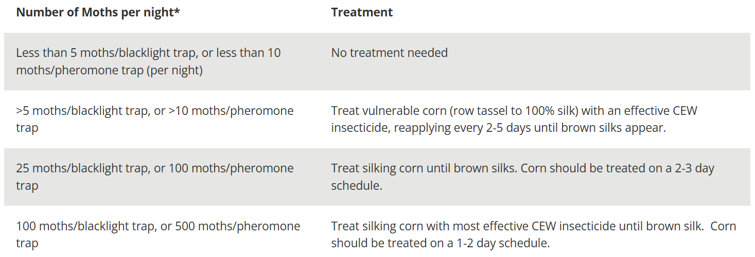 Corn earworm scouting thresholds