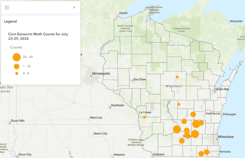 corn earworm counts