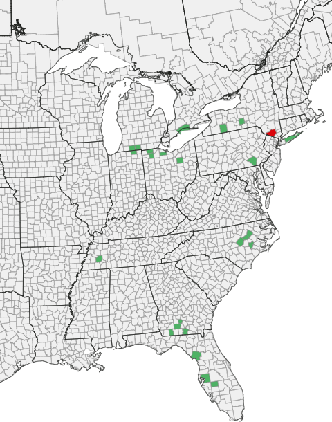 cucurbit downy mildew map